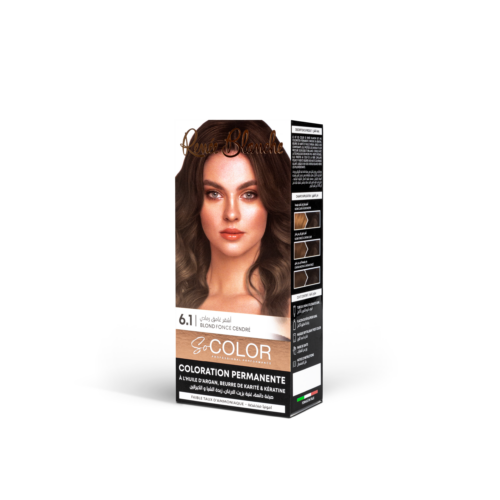Blond Foncé Cendré 6.1