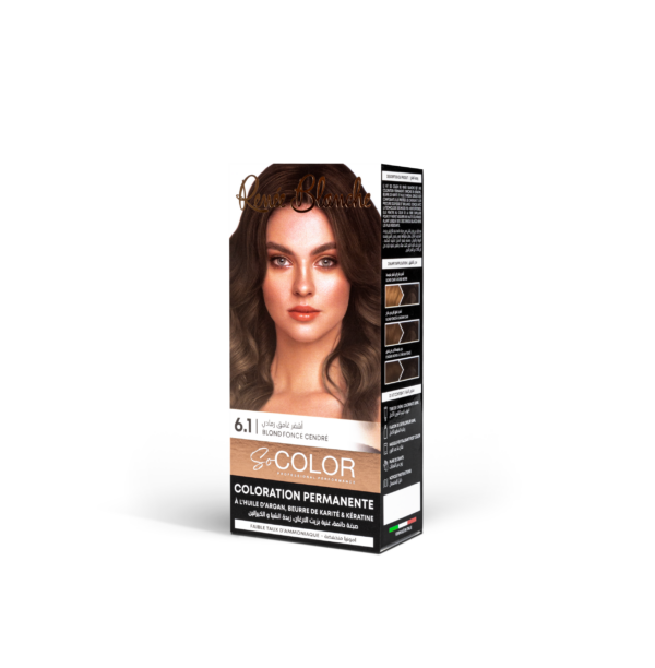 Blond Foncé Cendré 6.1