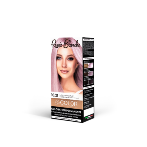 Blond Platine Violet Cendré 10.21